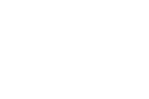 Jireh Inspection