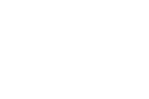 Impreglon