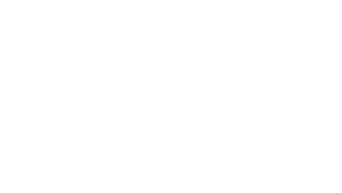 Troy Lee Designs